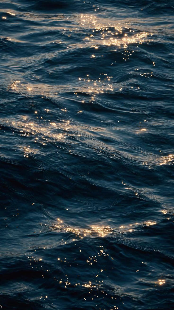 Ocean Collection